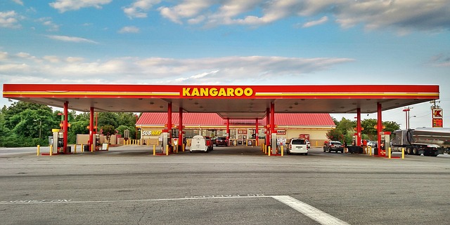 benzina Kangaroo